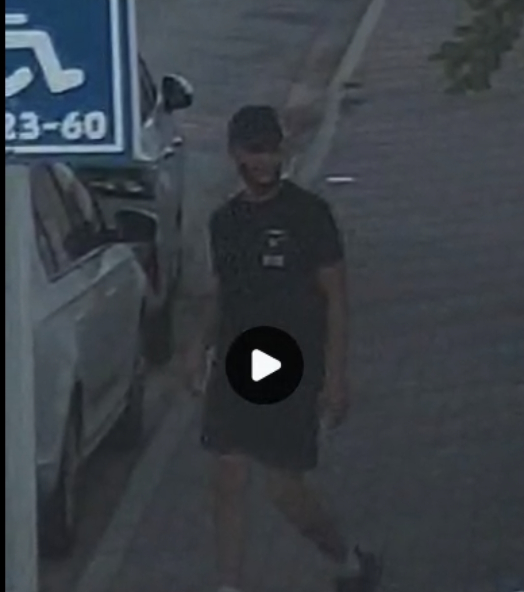 בהלה ברחוב דרדשתי באור עקיבא: "הוא הצליח להיכנס לרכב שלי ולרכב של השכנים"